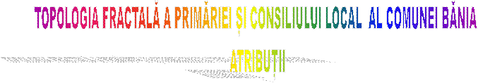 TOPOLOGIA FRACTALĂ A PRIMĂRIEI ȘI CONSILIULUI LOCAL  AL COMUNEI BĂNIA 
ATRIBUȚII
