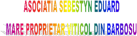 ASOCIATIA SEBESTYN EDUARD
MARE PROPRIETAR VITICOL DIN BARBOSU

