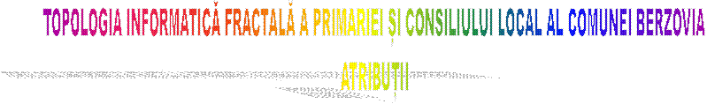 TOPOLOGIA INFORMATICĂ FRACTALĂ A PRIMARIEI ȘI CONSILIULUI LOCAL AL COMUNEI BERZOVIA
ATRIBUȚII