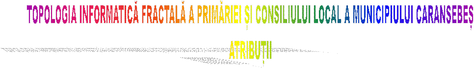 TOPOLOGIA INFORMATICĂ FRACTALĂ A PRIMĂRIEI ȘI CONSILIULUI LOCAL A MUNICIPIULUI CARANSEBEȘ
ATRIBUȚII
