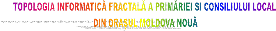 TOPOLOGIA INFORMATICĂ FRACTALĂ A PRIMĂRIEI SI CONSILIULUI LOCAL 
DIN ORAȘUL MOLDOVA NOUĂ