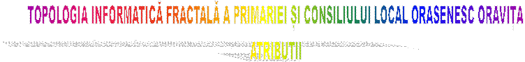 TOPOLOGIA INFORMATICĂ FRACTALĂ A PRIMARIEI ȘI CONSILIULUI LOCAL ORASENESC ORAVIȚA
ATRIBUTII