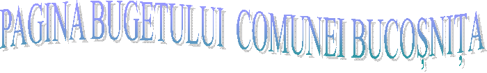PAGINA BUGETULUI  COMUNEI BUCOȘNIȚA