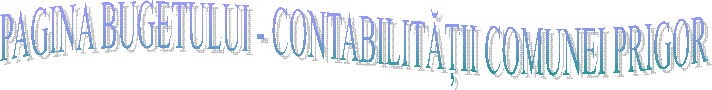 PAGINA BUGETULUI - CONTABILITĂȚII COMUNEI PRIGOR