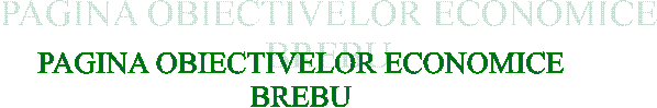 PAGINA OBIECTIVELOR ECONOMICE
BREBU