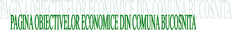 PAGINA OBIECTIVELOR ECONOMICE DIN COMUNA BUCOSNITA