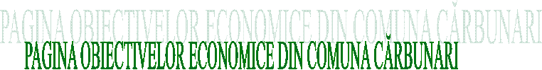 PAGINA OBIECTIVELOR ECONOMICE DIN COMUNA CĂRBUNARI