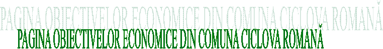 PAGINA OBIECTIVELOR ECONOMICE DIN COMUNA CICLOVA ROMANĂ