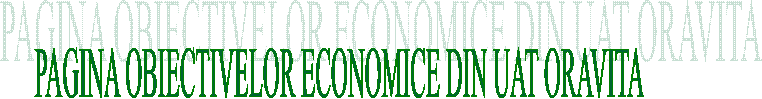 PAGINA OBIECTIVELOR ECONOMICE DIN UAT ORAVITA