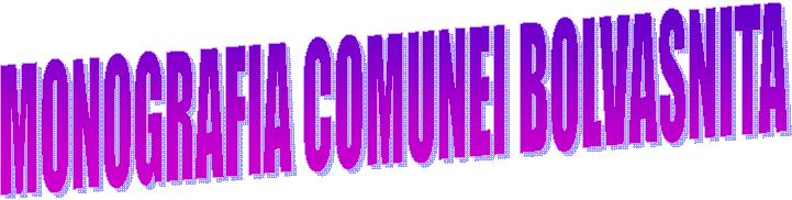 MONOGRAFIA COMUNEI BOLVASNITA