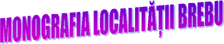 MONOGRAFIA LOCALITĂȚII BREBU