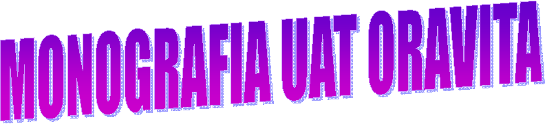 MONOGRAFIA UAT ORAVITA