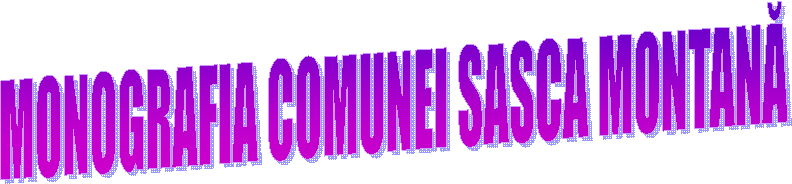 MONOGRAFIA COMUNEI SASCA MONTANĂ