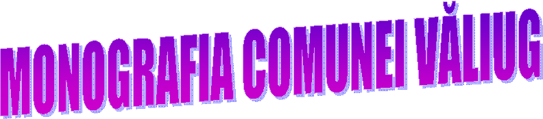 MONOGRAFIA COMUNEI VĂLIUG