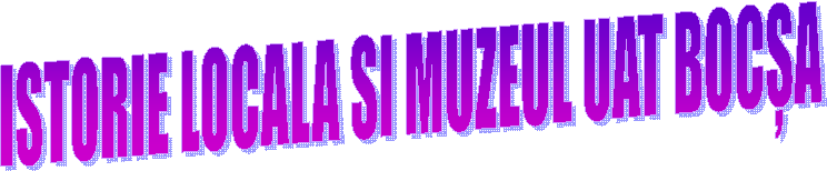 ISTORIE LOCALA SI MUZEUL UAT BOCȘA