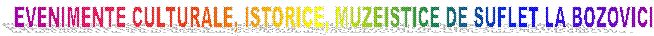 EVENIMENTE CULTURALE, ISTORICE, MUZEISTICE DE SUFLET LA BOZOVICI