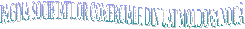 PAGINA SOCIETATILOR COMERCIALE DIN UAT MOLDOVA NOUĂ
