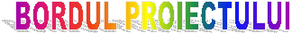 BORDUL PROIECTULUI